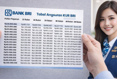 KUR BRI Juni 2026: Plafon Pinjaman Hingga Rp500 Juta, Bunga Ringan, dan Syarat Pengajuan untuk UMKM