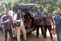 Istri Sakit, 2 Bocah Jadi Pelampiasan