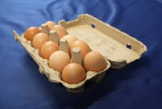 Segudang Manfaat dan Gizi Telur untuk MPASI