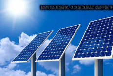 Rahasia Hemat Tagihan Listrik PLN 90% di Palembang: Investasi Panel Surya Rumah Tangga 2025 yang Menggemparkan