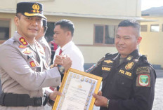Bongkar Ladang Ganja 20 Hektare, Sarmidi Diganjar Penghargaan
