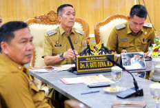 Musim Kemarau, Wali Kota Palembang Instruksikan Camat-Lurah Siaga Karhutla