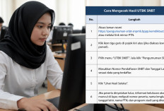 PENGUMUMAN UTBK SNBT 25 Mei, Ini Jumlah Peserta yang Lulus di Tahun 2026