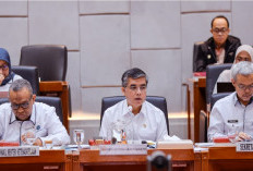 Menteri Ketenagakerjaan Yassierli Ajukan Tambahan 150 Ribu Kuota Magang Nasional 2026