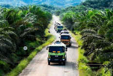 Satgas PKH Kejagung Banyak Selamatkan Keuangan Negara dari Penyelewengan Sektor Sawit dan Kehutanan