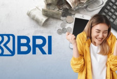 Batas Waktu Pelunasan untuk Plafon Pinjaman KUR BRI Rp 20–60 Juta di Juli 2025