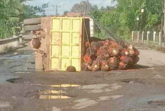 Jalan Rusak Parah di Jalinteng Sekayu–Lubuk Linggau, Truk Terbalik dan Lalu Lintas Lumpuh