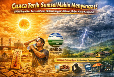 Cuaca Sumsel Kian Panas, BMKG Prediksi Suhu Tinggi Bertahan hingga 14 Maret 2026