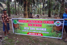 Lengkapi Fasilitas Olahraga hingga Ternak Sapi Potong