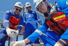 Lowongan Kerja PT Surveyor Indonesia Posisi Process Engineer, Penempatan Prabumulih, Deadline Februari 2025