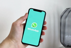 WhatsApp Hadirkan Empat Opsi Pemformatan Anyar