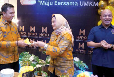 Anniversary ke-2, Hotel Hayo Bagikan Puluhan Gerobak Untuk UMKM