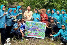 PKK Empat Lawang Dukung GSMP, Kebun Pala Desa Galang Jadi Komoditas Unggulan