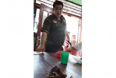 Unggah MBG Berjamur dan Basi ke Medsos, Mantan Anggota Dewan Muratara Dipolisikan SPPG, Nah Lho!