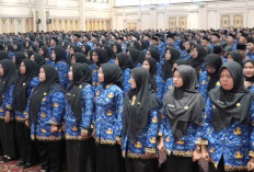 Usul Gaji PPPK Guru-Nakes Dibayarkan Pusat, Upaya Kurangi Beban Fiskal Pemda