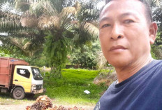 Petani Mengeluh, Keuntungan dari Kenaikan Harga Sawit Masih Tergerus Mahalnya Pupuk Non-Subsidi