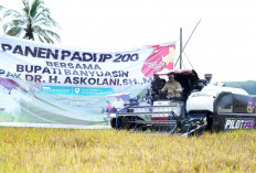 Optimis, Banyuasin Penghasil GKG Terbesar No 1 di Indonesia