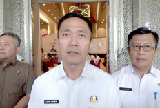Ribuan Lampu Jalan di Palembang Padam Akibat Ulah Jahil, Wako Ratu Dewa Minta Warga Palembang Lakukan Hal Ini 