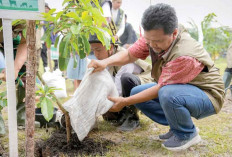 Kilang Pertamina Internasional Dapat Penghargaan Gubernur Sumsel, Hijaukan Pesisir Sungsang