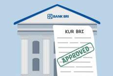 Tabel Pinjaman di Bank BRI Untuk UMKM dan Karyawan. Pinjaman Maksimal dan Tenor Lebih Lama
