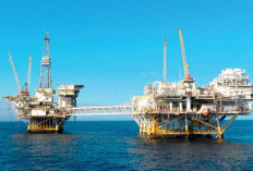 Harga Minyak Dunia Naik