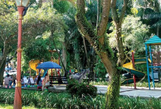 Jl POM IX Jadi Titik CFD Baru 