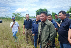 Gubernur Sumsel Dorong Pembangunan Sirkuit Resmi, 'Bakat Balap Bukan untuk Jalanan!'