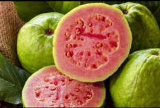 9 Buah Kaya Kalsium untuk Menjaga Tulang Tetap Kuat di Usia 50-an