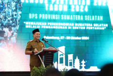 Menanti Putusan MK dan Data BPS, Penetapan UMP Sumsel 2025 Baru Akan Diputuskan