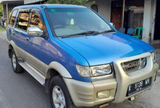 Panther Tak Pernah Mati! Ini Alasan Mobil Diesel Legendaris Ini Masih Diburu Mati-Matian