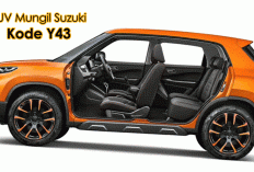 Bocor! SUV Mungil Suzuki Kode Y43 Siap Hantam Tata Punch, Harga Diprediksi Mulai Rp90 Jutaan