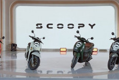 Cek Harga Honda Scoopy Bekas: Mulai Rp 10 Jutaan, Ini Faktanya!