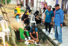 Puskeswan Kota Prabumulih memvaksin antirabies gratis terhadap hewan peliharaan