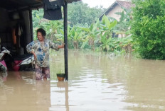 Gorong-gorong Tak Berfungsi akibat Jalintim Amblas, Warga ‘Nelongso’ Rumahnya Kebanjiran