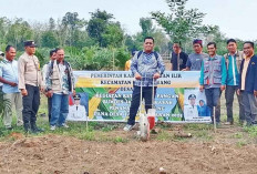 Desa Kasah Ogan Ilir Tanam Jagung 1 Hektare Dukung Ketahanan Pangan