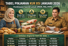Inilah Tabel Pinjaman KUR BSI 2026 yang Bisa Membantu Usaha Anda Tumbuh Lebih Cepat
