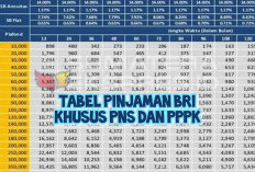 Cek Tabel Pinjaman Bank BRI Agustus 2025, Cuma Modal SK PPPK Bisa Pinjam Segini!