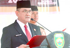 Tahun Ini Potensi Bakal Meningkat, Aktifkan Lagi Desk Karhutla Hingga Apel Kesiapsiagaan Karhutla