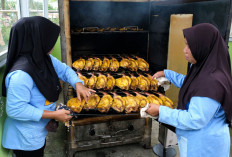 Produk Higienis,  Ramah Lingkungan, Inovasi Sistem Kondensasi Ikan Asap