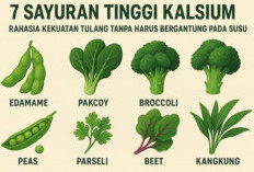 7 Sayuran Tinggi Kalsium, Rahasia Kekuatan Tulang Tanpa Harus Bergantung pada Susu