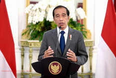 Jokowi Soal Presiden Boleh Kampanye, Bagaimana Respon Ahli Hukum?
