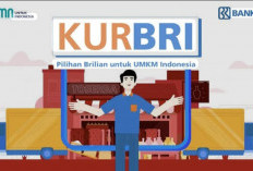 BRI Buka Kran Pinjaman di Bulan Kemerdekaan: Angin Segar Bagi Wirausaha dan Masyarakat