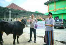 Kapolda Sumsel Turun Tangan! Hewan Kurban untuk Pesantren di OKI Bikin Haru Warga