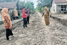 Ini Kata Kades Bukit Batu Terkait Tuduhan Korupsi Plasma