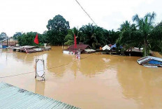 Jalinteng Sekayu-Mura Lumpuh, Banjir di Ruas Jalan Mura-PALI  Mulai Surut