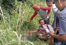 Heboh! Jenazah Misterius Ditemukan di Jalintim Babat Supat, Polisi Masih Selidiki Kasusnya