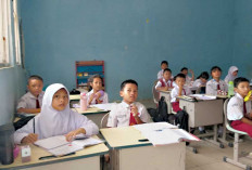  Utamakan Usia 7 Tahun Masuk SD, Usia di Bawah 6 Tahun per 1 Juli 2026 Tidak Dapat Diproses Sistem Dapodik