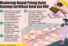 Belum Ada RPA Kantongi Sertifikasi, Jamin Keamanan dan Kehalalan Daging Ayam 