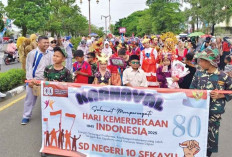 Meriah, Seni Budaya Pawai Sekayu Carnaval 