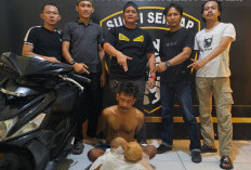 Viral Pencurian Kelapa, Ferry Good Akhirnya Dibekuk Polisi